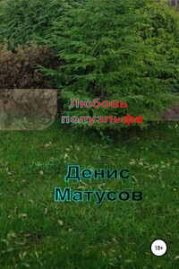 Любовь полуэльфа