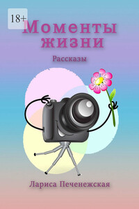 Моменты жизни