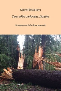 Тихо, идёт следствие. Передоз. В опергруппе Баба-Яга и домовой