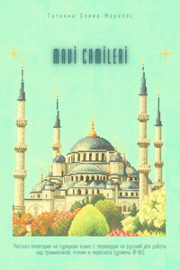 Mavi Camileri. Рассказ-аллегория на турецком языке с переводом на русский для работы над грамматикой, чтения и пересказа (уровень В1—В2)