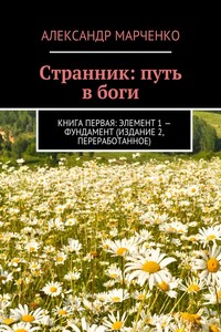Странник: путь в боги. Книга первая: элемент 1 – фундамент (издание 2, переработанное)