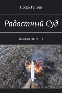 Радостный Суд. Домовая книга – 1