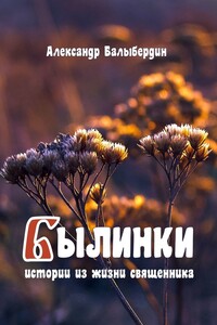 Былинки. Истории из жизни священника