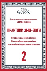 Практики Эми-Йоги. Метафизическая работа с Целями, Местами и Представителями Силы в системе Йоги Эмоционального Интеллекта