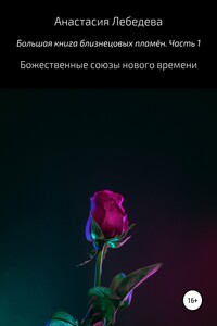 Большая книга близнецовых пламён. Часть 1