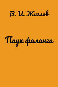 Паук фаланга