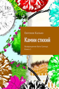Камни стихий. Возвращение бога Солнца. Книга 1