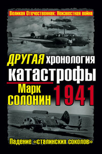 Другая хронология катастрофы 1941. Падение «сталинских соколов»