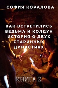 Как встретились ведьма и колдун. История о двух старинных династиях. Книга 2