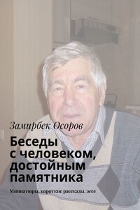 Беседы с человеком, достойным памятника. Миниатюры, короткие рассказы, эссе