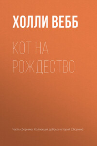 Кот на Рождество