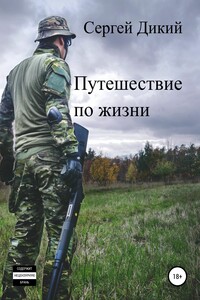 Путешествие по жизни