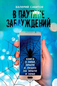 В паутине заблуждений. Книга о небе, земле и людях на земле и небе