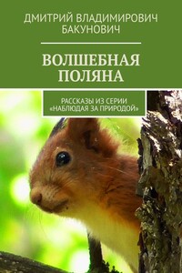 Волшебная поляна. Рассказы из серии «Наблюдая за природой»