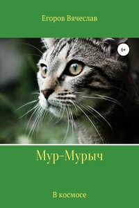 Мур-Мурыч. В космосе