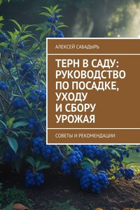 Терн в саду: руководство по посадке, уходу и сбору урожая. Советы и рекомендации