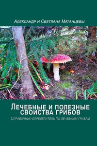 Лечебные и полезные свойства грибов. Справочник-определитель по лечебным грибам