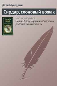 Сирдар, слоновый вожак