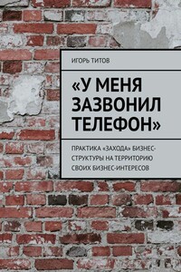 «У меня зазвонил телефон». Практика «захода» бизнес-структуры на территорию своих бизнес-интересов