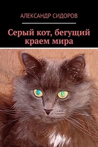 Серый кот, бегущий краем мира
