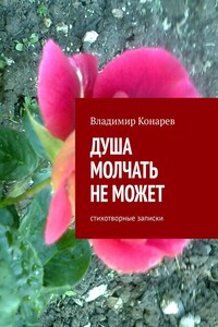 Душа молчать не может. Стихотворные записки