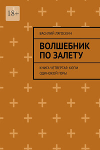 Волшебник по залету. Книга четвертая: Копи Одинокой горы
