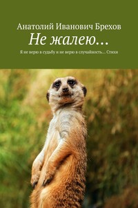 Не жалею… Я не верю в судьбу и не верю в случайность… Стихи