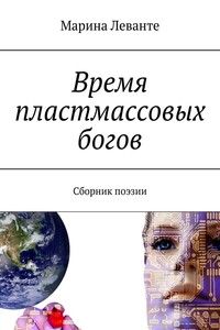 Время пластмассовых богов. Сборник поэзии