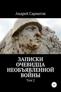 Записки очевидца необъявленной войны. Том 2