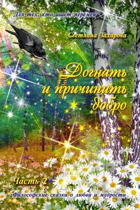 Догнать и причинить добро. Часть 2