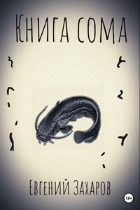 Книга сома