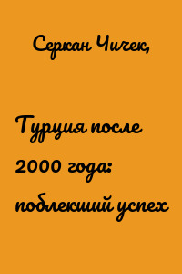 Турция после 2000 года: поблекший успех