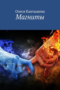 Магниты