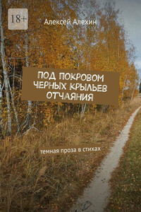 Под покровом черных крыльев отчаяния. Темная проза в стихах