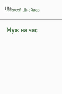 Муж на час