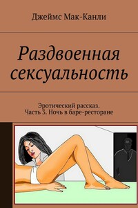Раздвоенная сексуальность. Эротический рассказ. Часть 3. Ночь в баре-ресторане