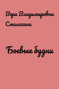 Боевые будни
