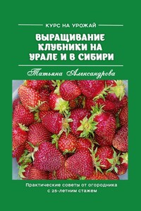 Курс на урожай. Выращивание клубники на Урале и в Сибири. Практические советы от огородника с 25-летним стажем