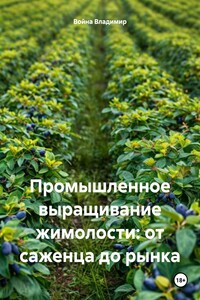 Промышленное выращивание жимолости: от саженца до рынка