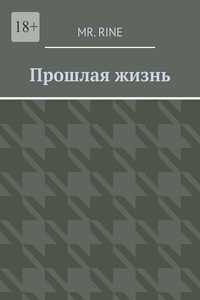 Прошлая жизнь