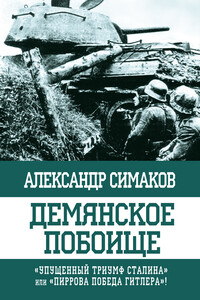 Демянское побоище. «Упущенный триумф Сталина» или «пиррова победа Гитлера»?
