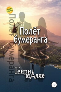 Полет бумеранга