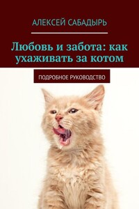 Любовь и забота: как ухаживать за котом. Подробное руководство