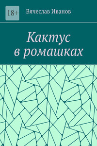 Кактус в ромашках. Повесть