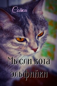 Мысли кота эльфийки