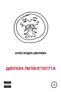 Диплом Литинститута