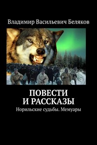 Норильские судьбы. Повести и рассказы. Мемуары