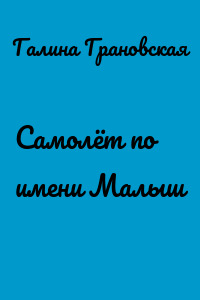 Самолёт по имени Малыш