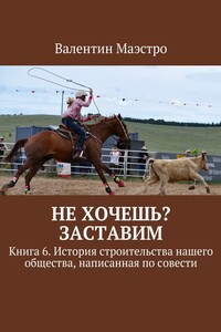 Не хочешь? Заставим. Книга 6. История строительства нашего общества, написанная по совести