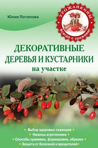 Декоративные деревья и кустарники на участке